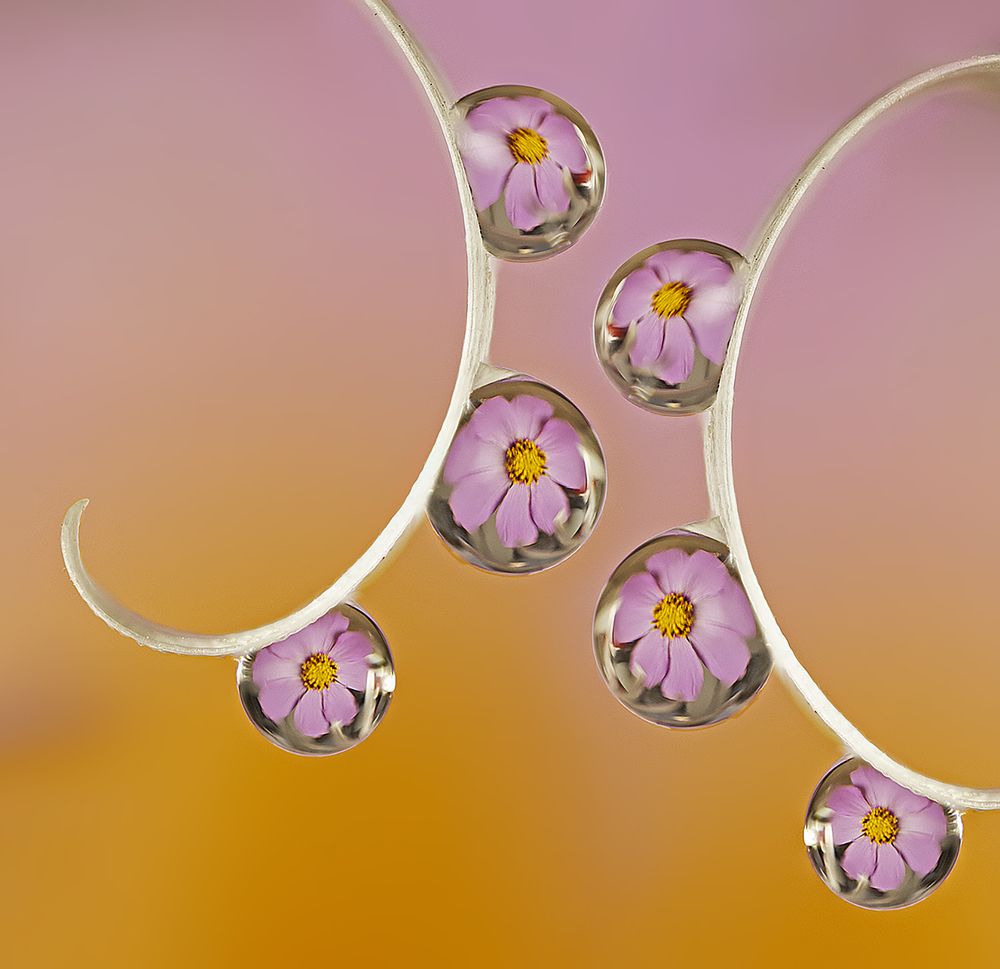 Photograph by Иван Радьков