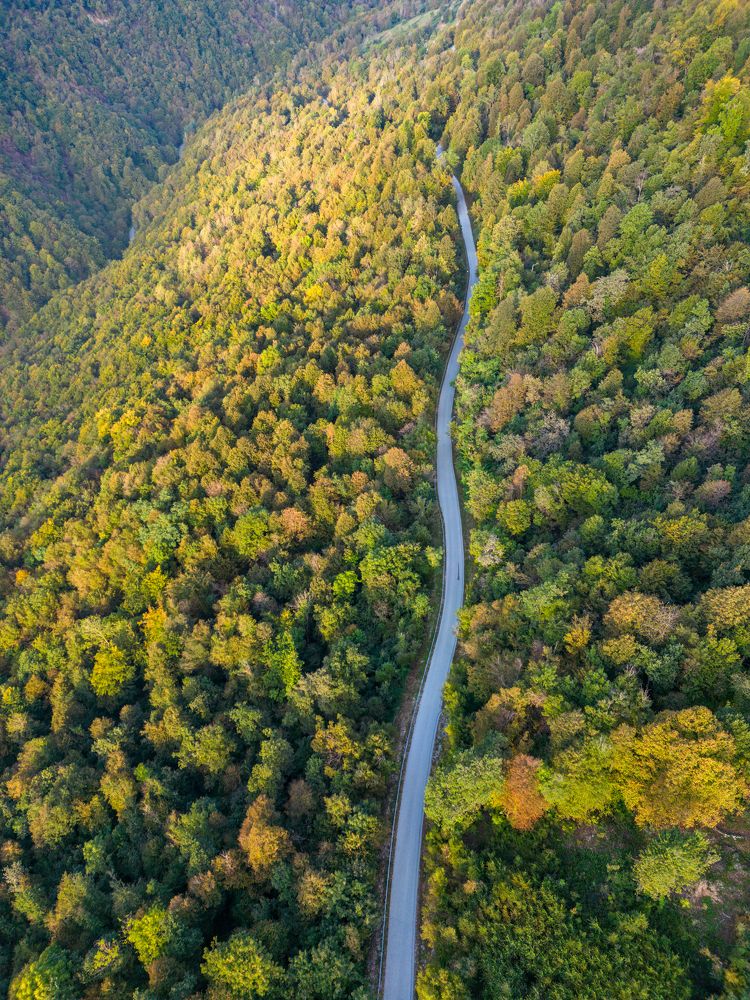 Photograph by Fahrudin Seferagić