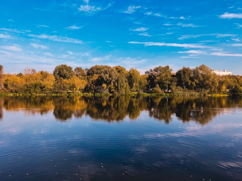 Фотография автора Евгения Сычкова