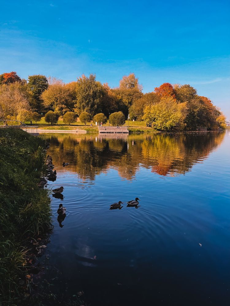 Фотография автора Евгения Сычкова