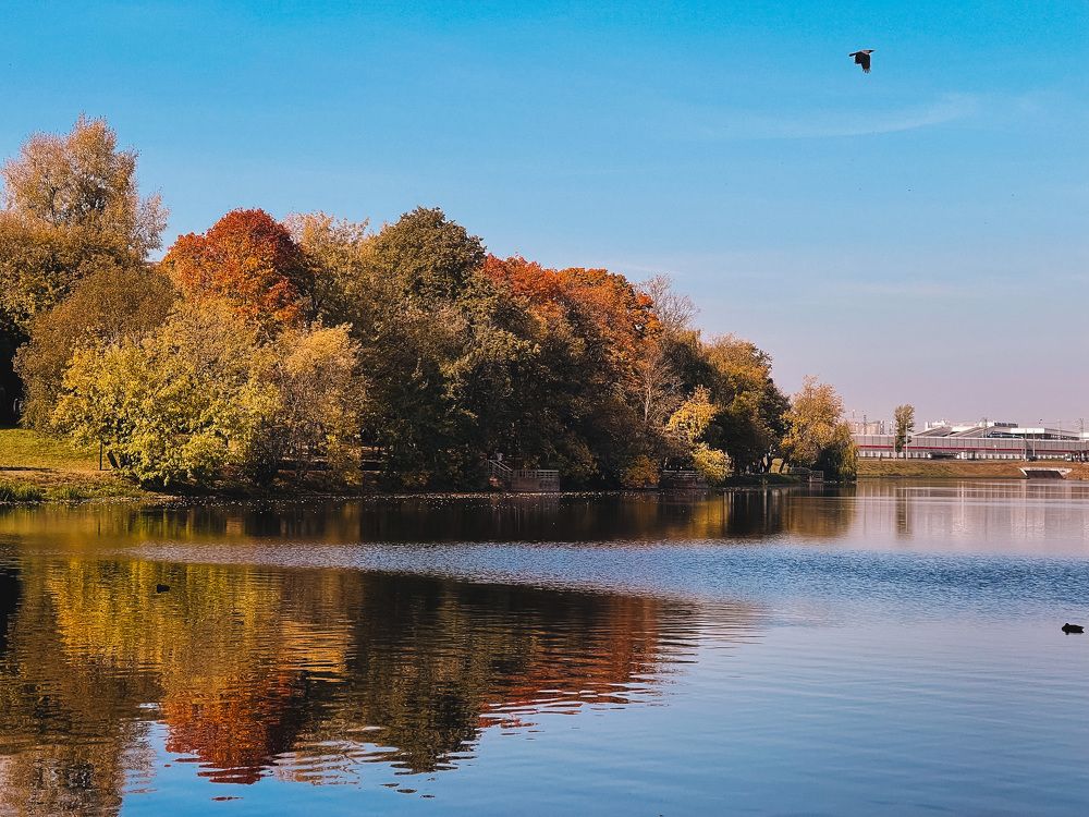 Фотография автора Евгения Сычкова