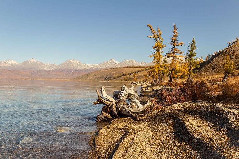Осень в Монголии