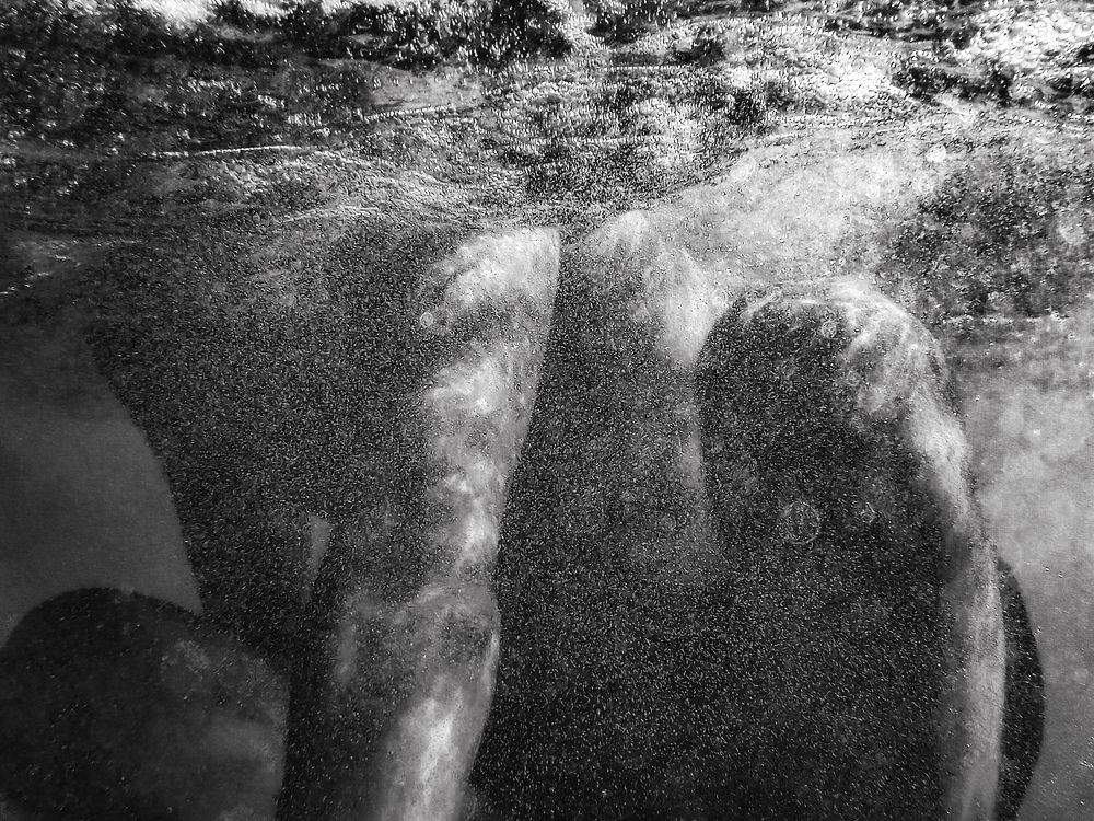 Photograph by Giuseppe Catalano