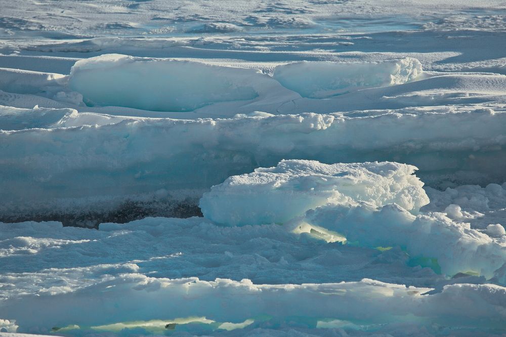 Photograph by Олег Раков