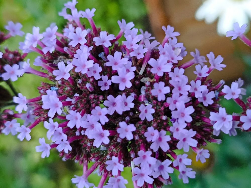 Photograph by Анна Виноградова