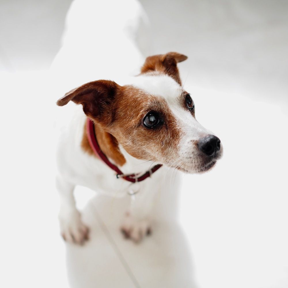 Фотография автора Aymeric