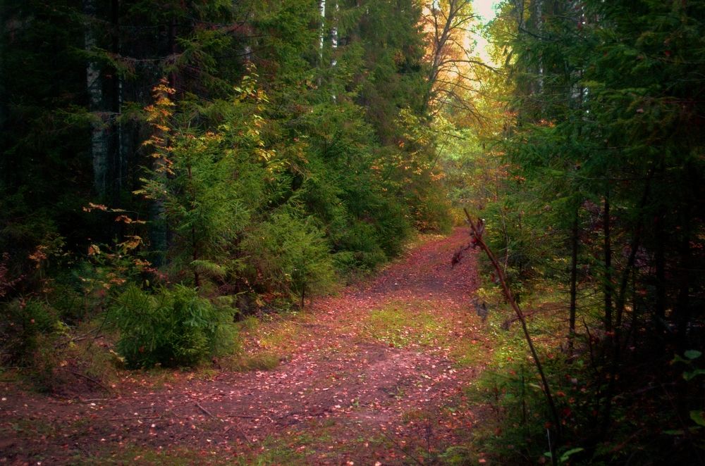 Photograph by Надежда Сморкалова