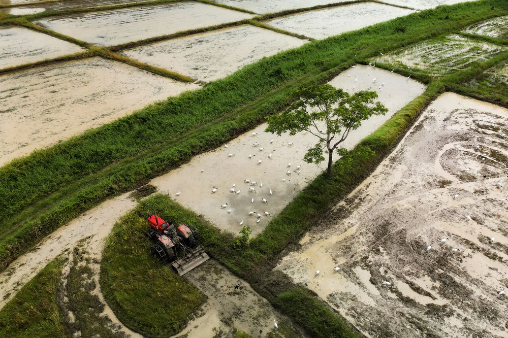 Фотография автора Prabhashwara PSC