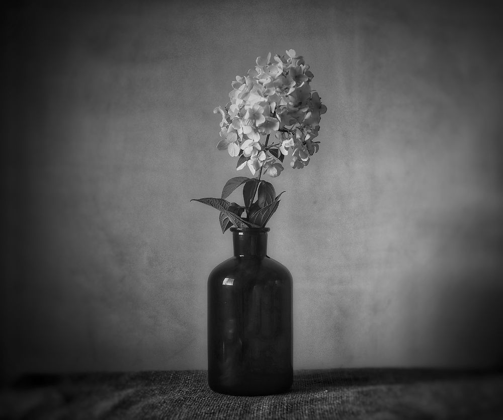 Photograph by Кира Бахвалова