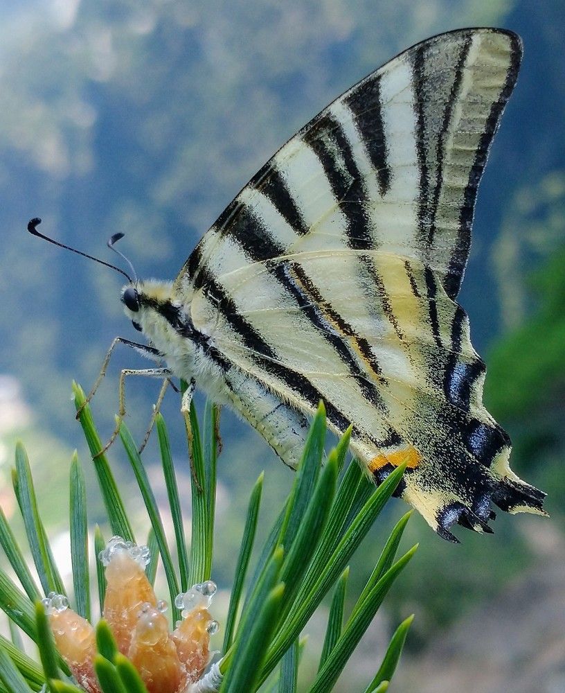 Photograph by Bart-Jan Baaijens