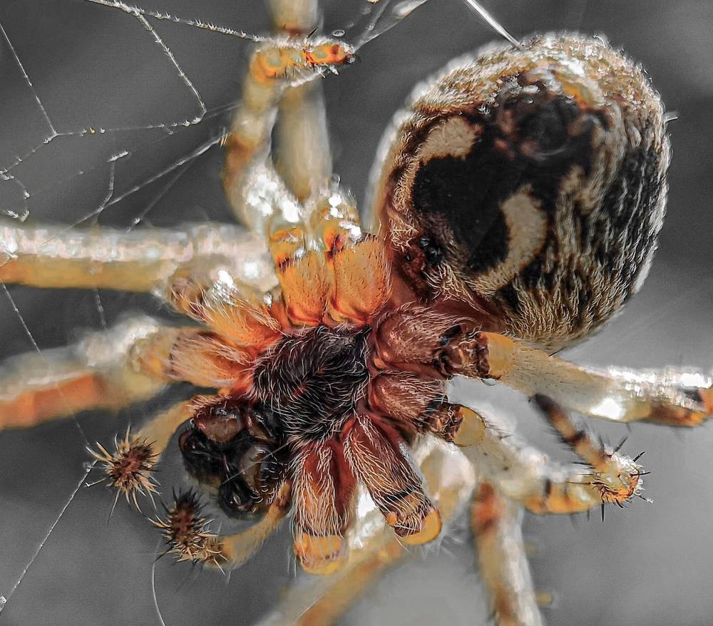 Photograph by Bart-Jan Baaijens