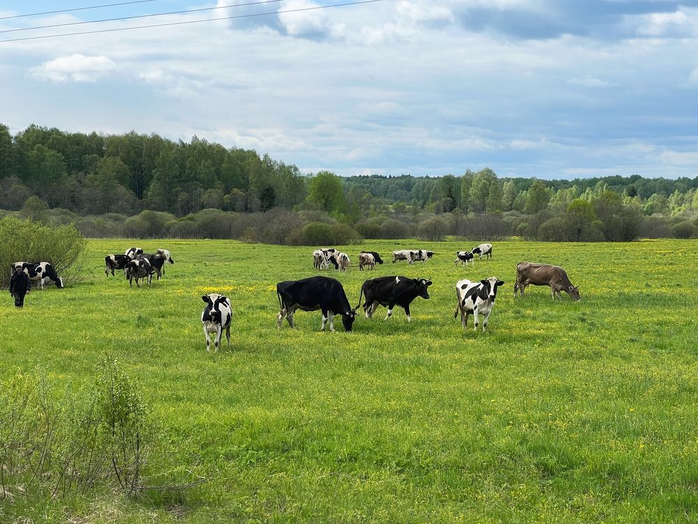 Photograph by Юлия Отставнова