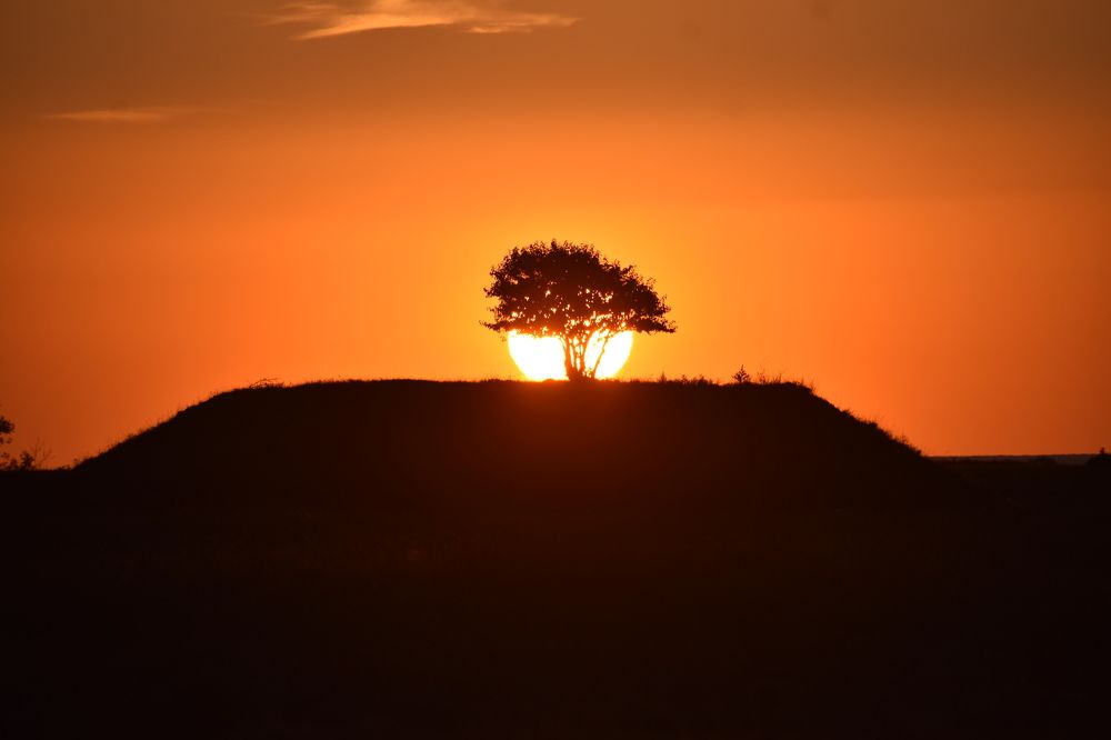 Фотография автора АНАСТАСИЯ ЛЕВИНА