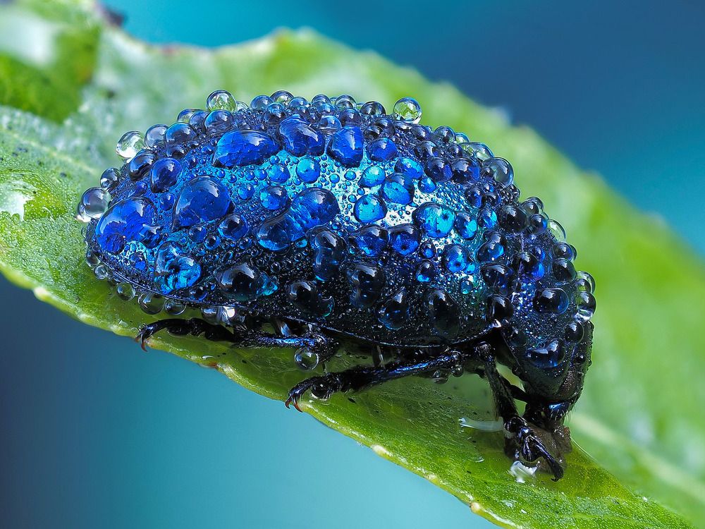 Photograph by Лукашук Евгений