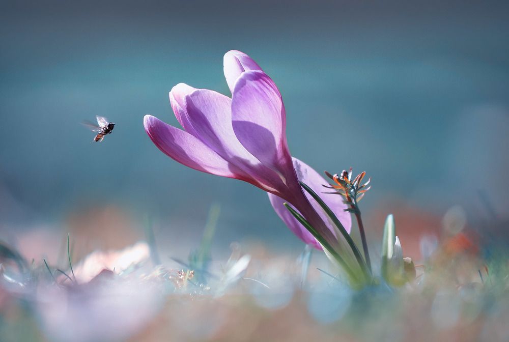 Photograph by Лукашук Евгений