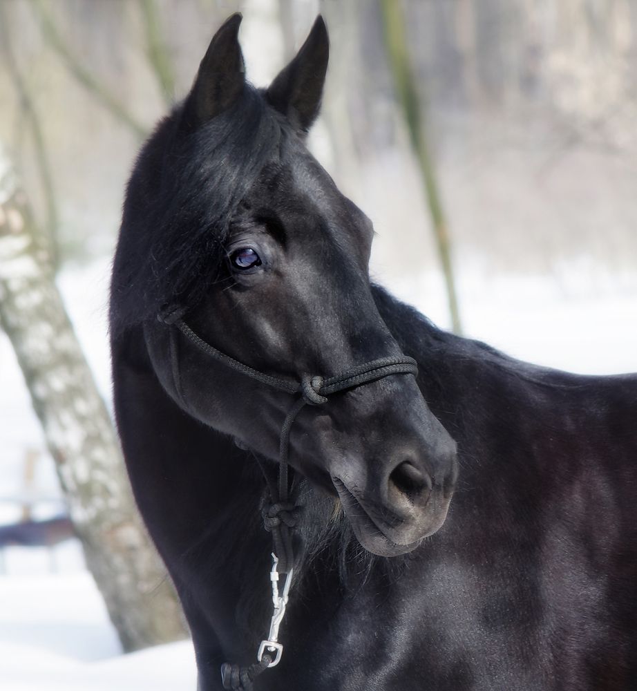 Photograph by Ольга Еремеева