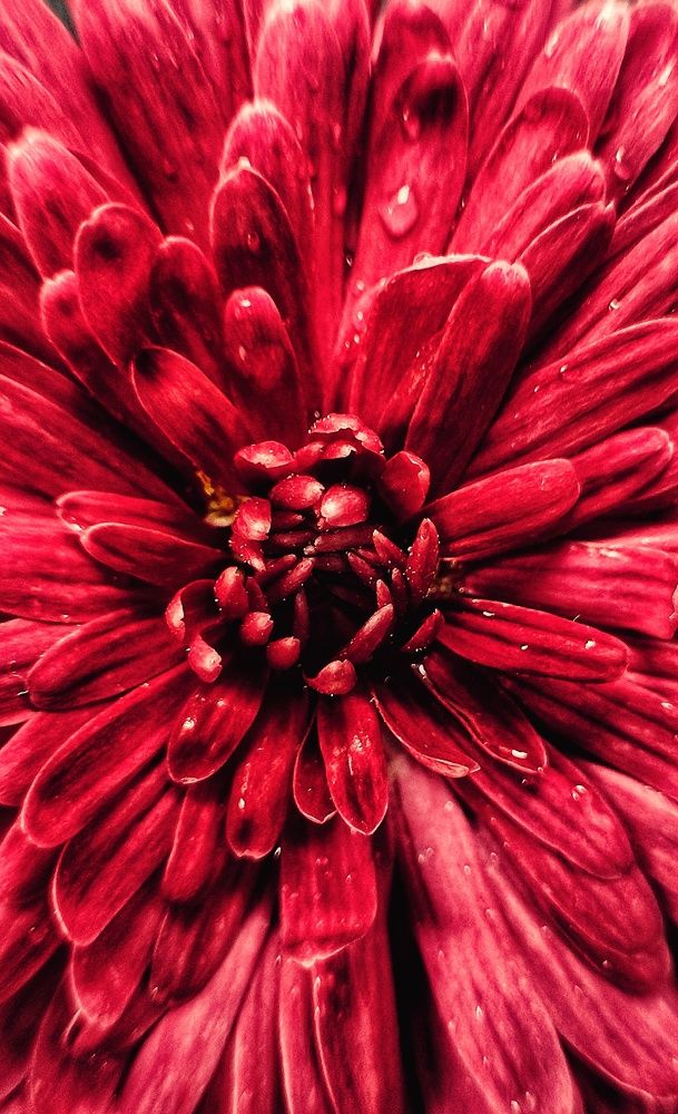 Photograph by Евгений Белов