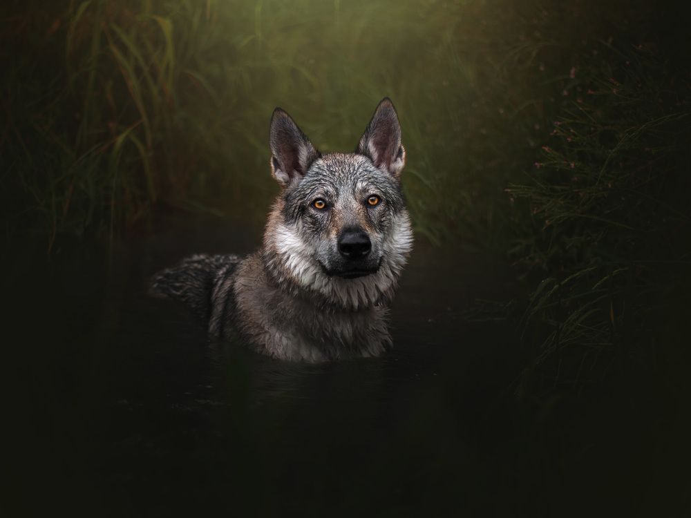 Photograph by Dorota Hnatová