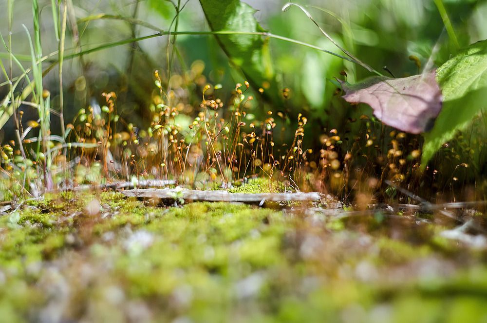 Photograph by Даниил Марков