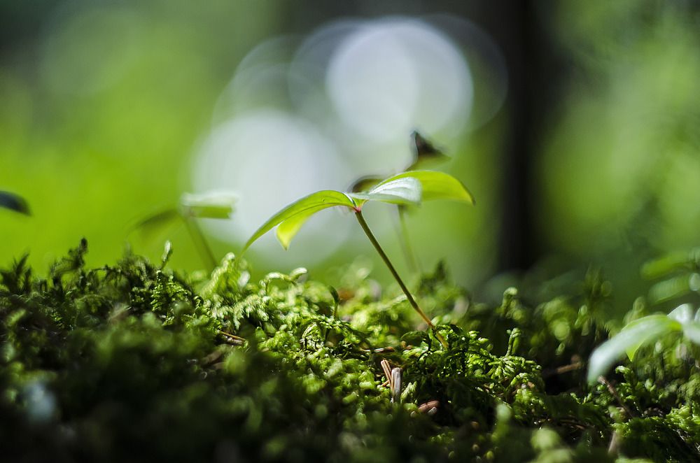 Photograph by Даниил Марков