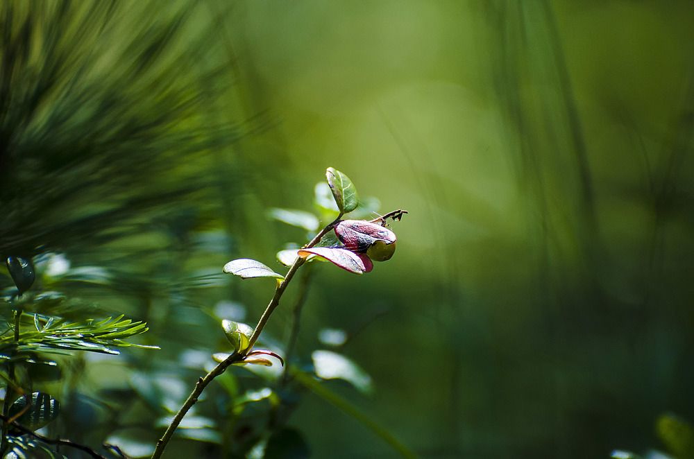 Photograph by Даниил Марков