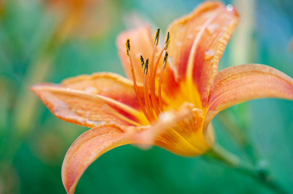 Photograph by Владимир Тузлай