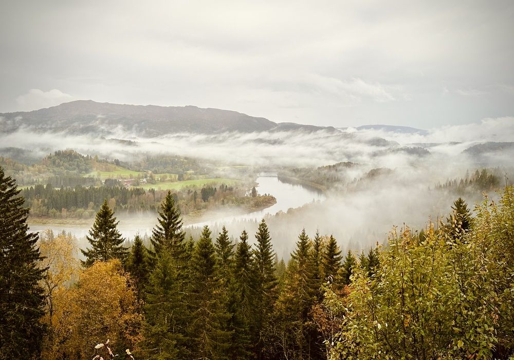 Photograph by Olga Bakke