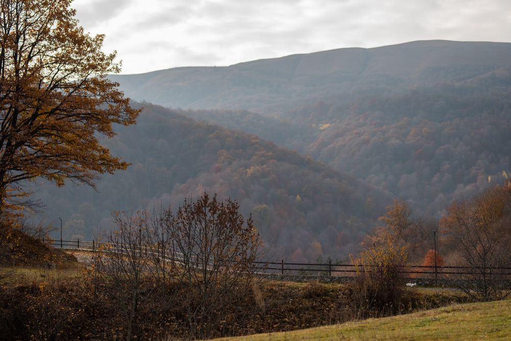 Photograph by Xenia Suvorova