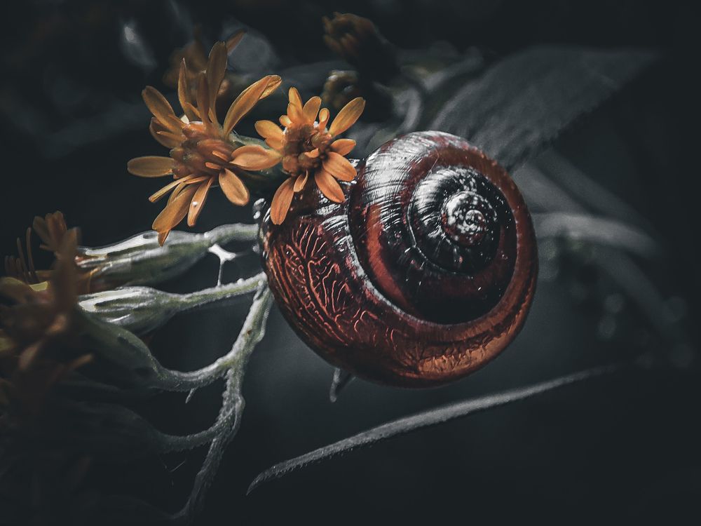 Photograph by Алёна Денисова