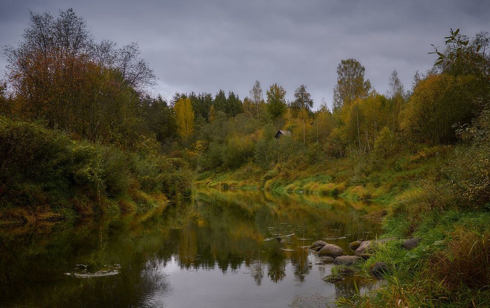Речка Холова у одноименного села.