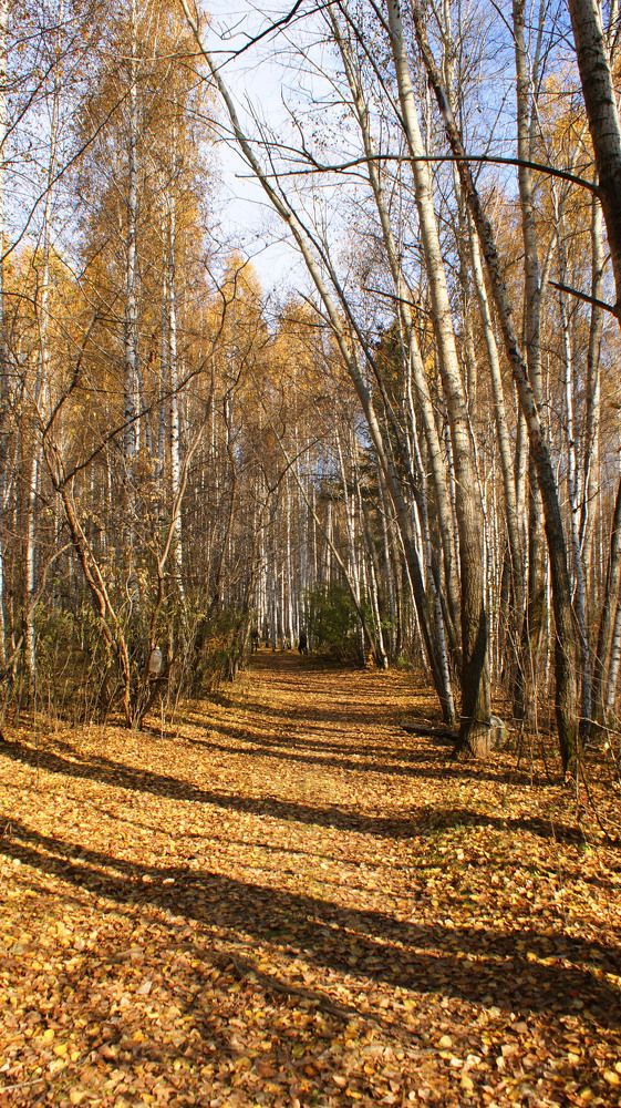 Photograph by Анастасия Кот