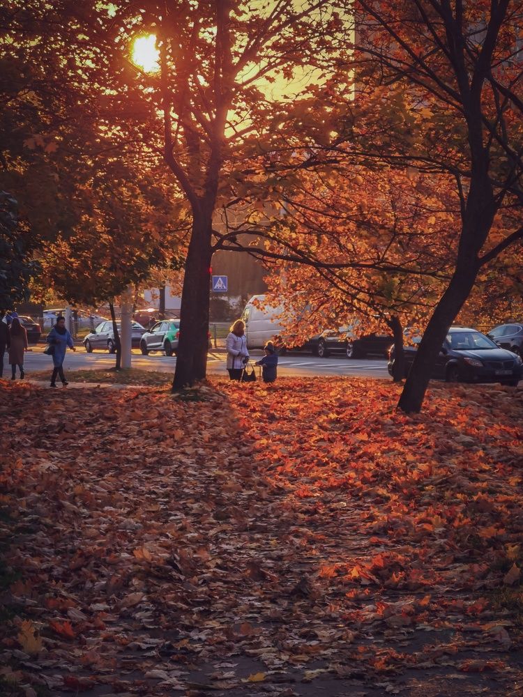 Фотография автора Геннадий Ломеко