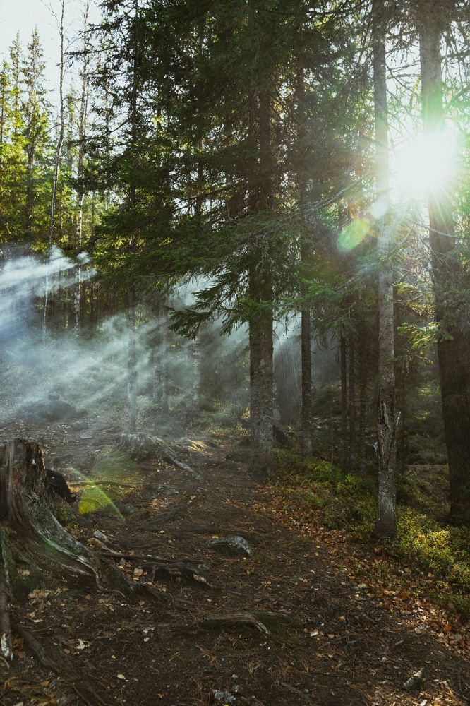 Photograph by Даниил Свиридов