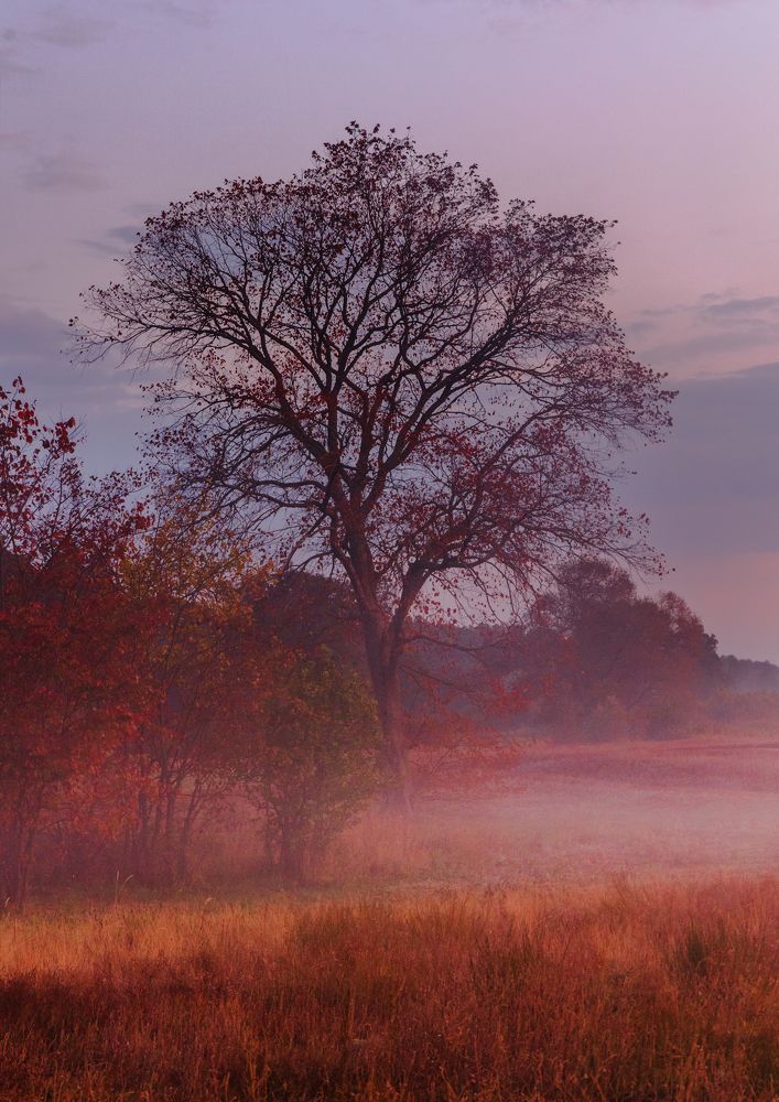 Photograph by Анна Бокова