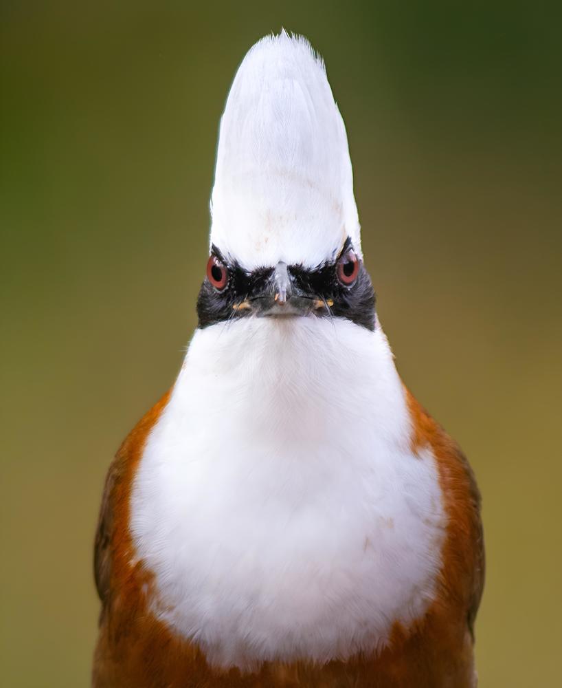 Photograph by Ranjith Kumar