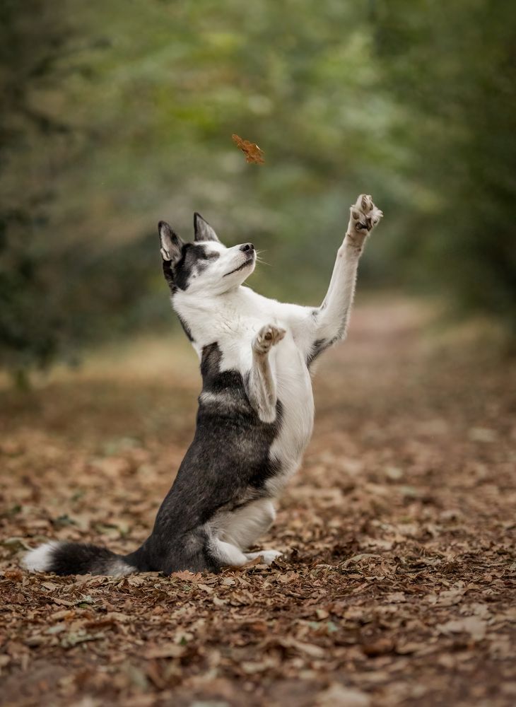 Photograph by Yong Lei van Barlingen