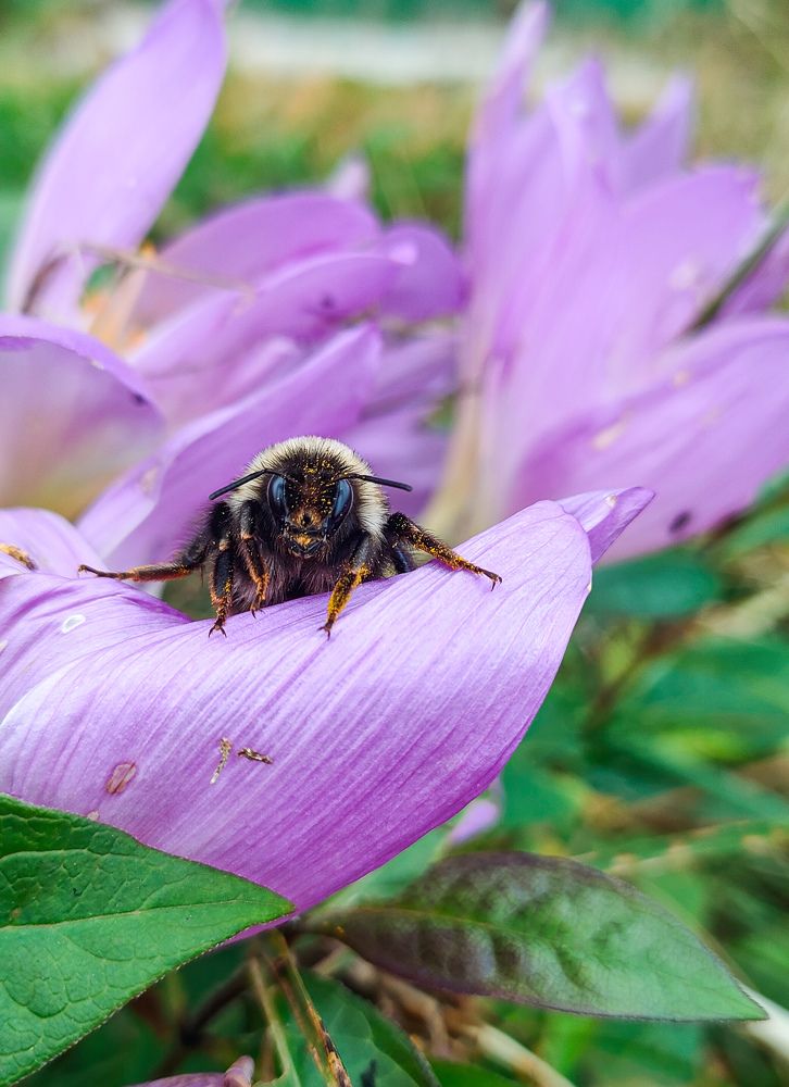 Photograph by Александра Головина