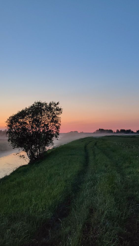 Photograph by Александра Головина