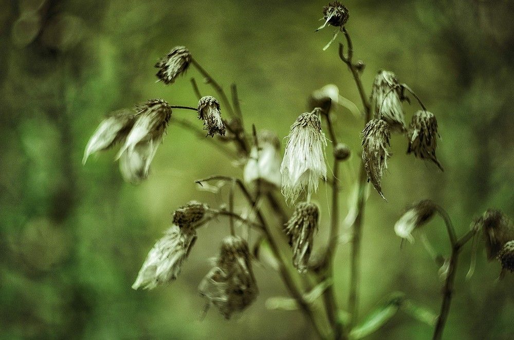 Photograph by Даниил Марков