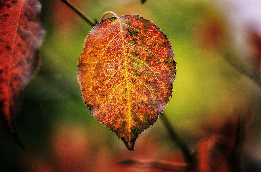 Photograph by Даниил Марков