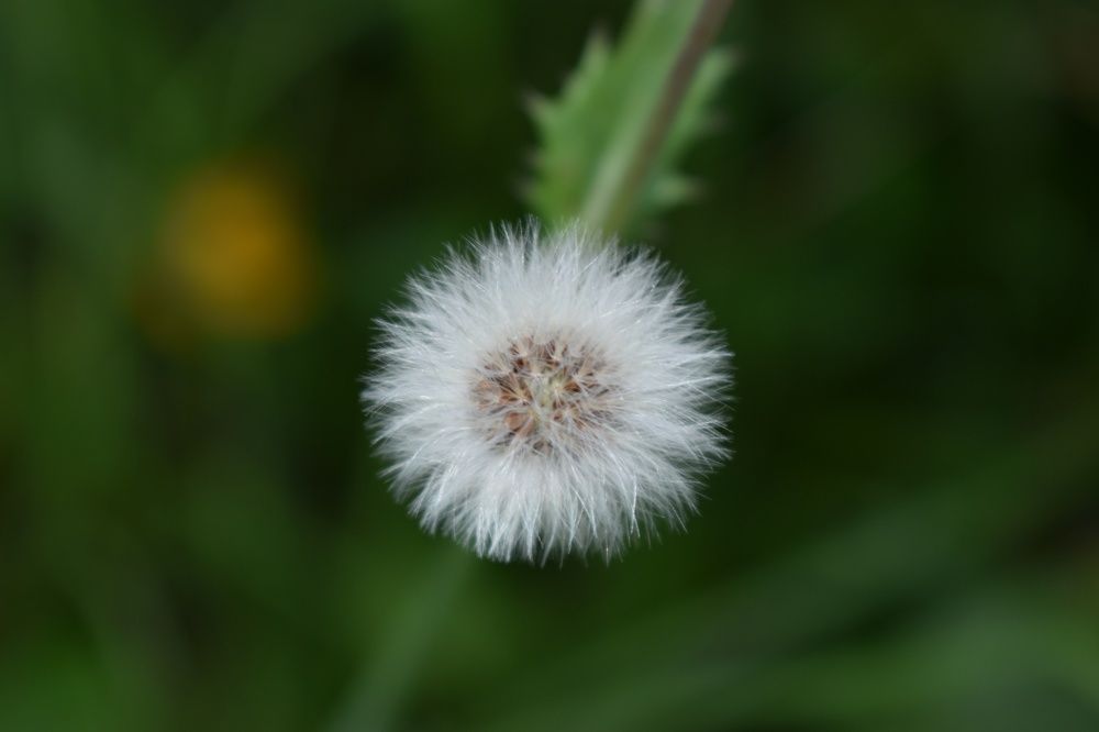 Фотография автора Catherine Shashkova