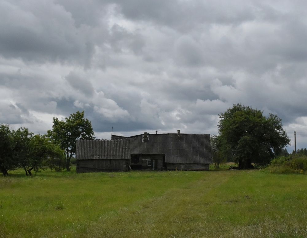 Фотография автора Catherine Shashkova