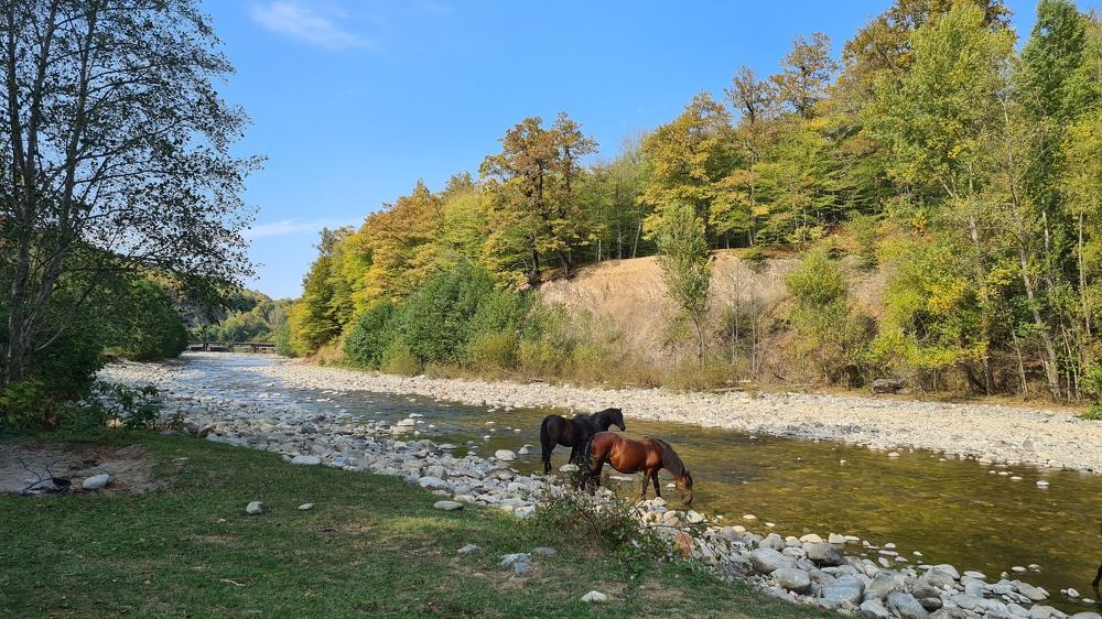 Photograph by Елена Кольцина