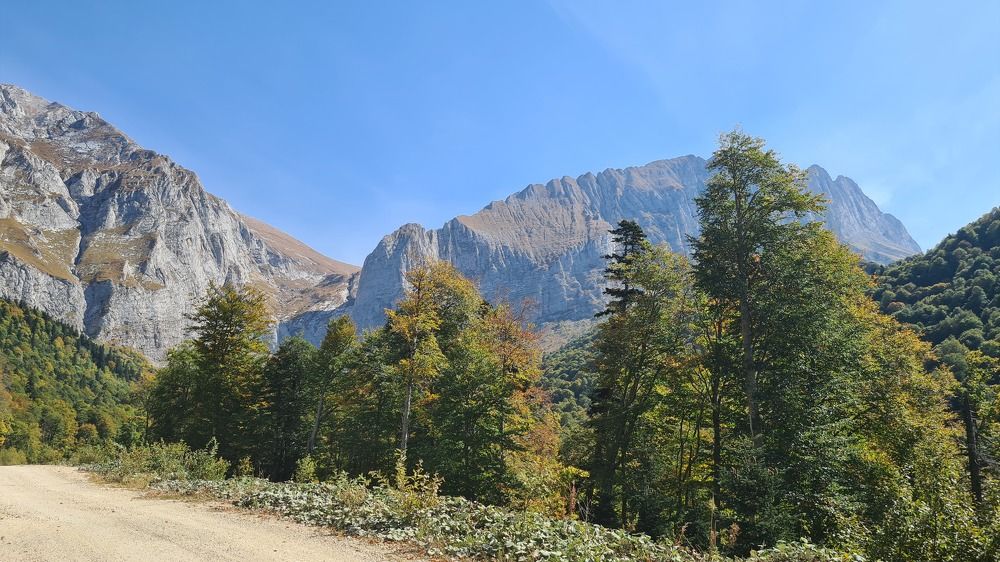 Photograph by Елена Кольцина