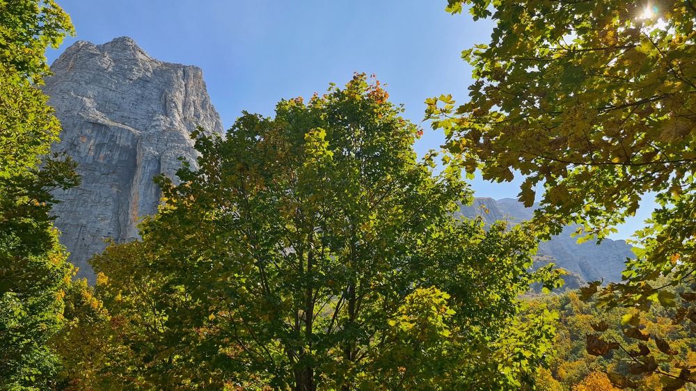 Photograph by Елена Кольцина