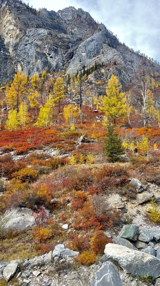 Photograph by Марина Куимова