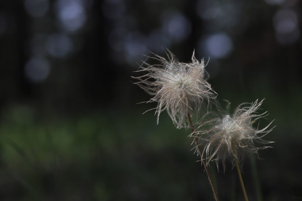 Photograph by Константин Искучеков