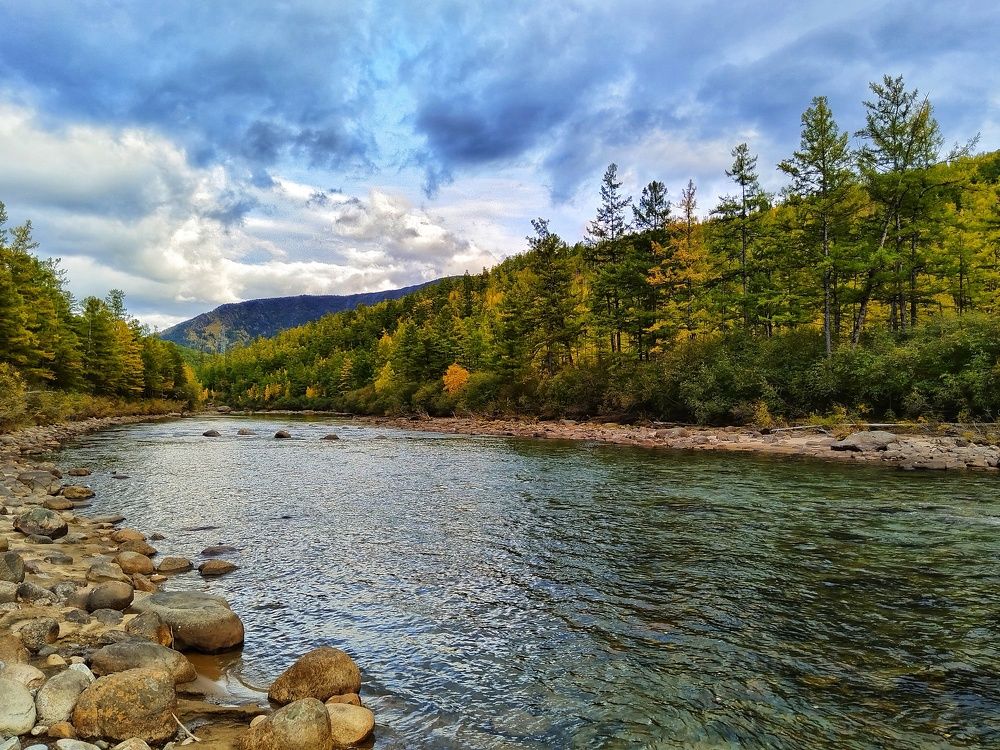 Photograph by Анастасия Зайцева