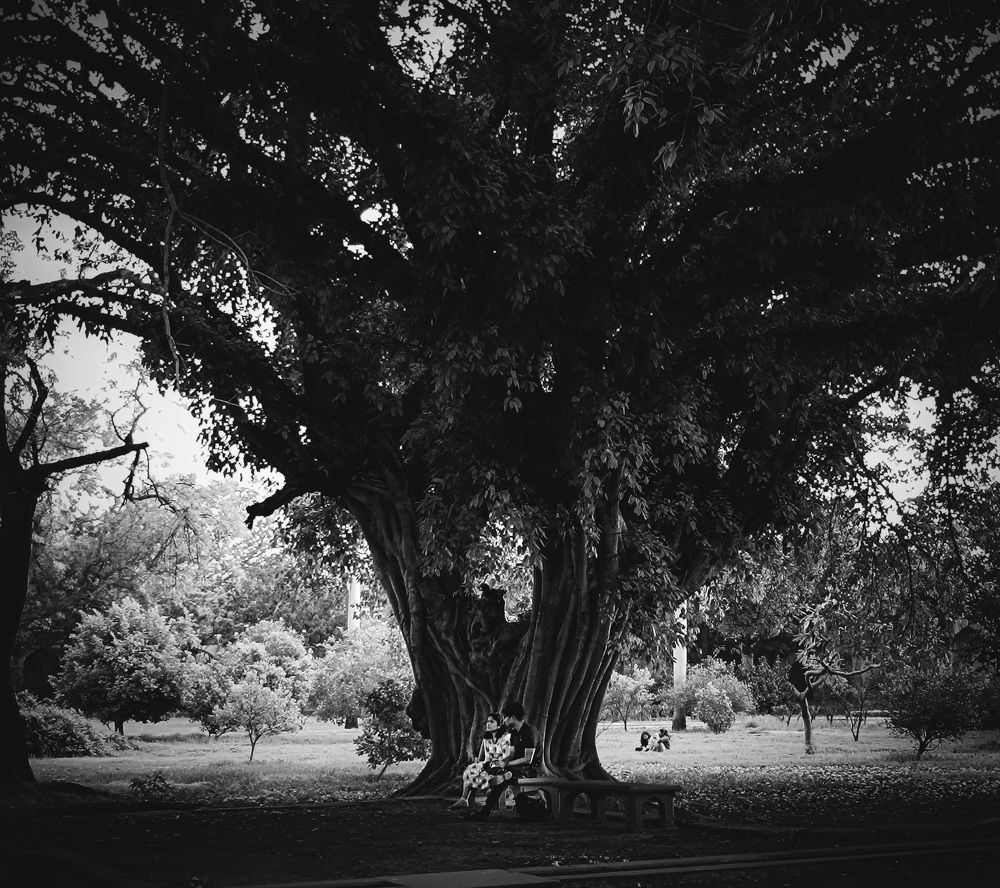 Photograph by Pawan Saini