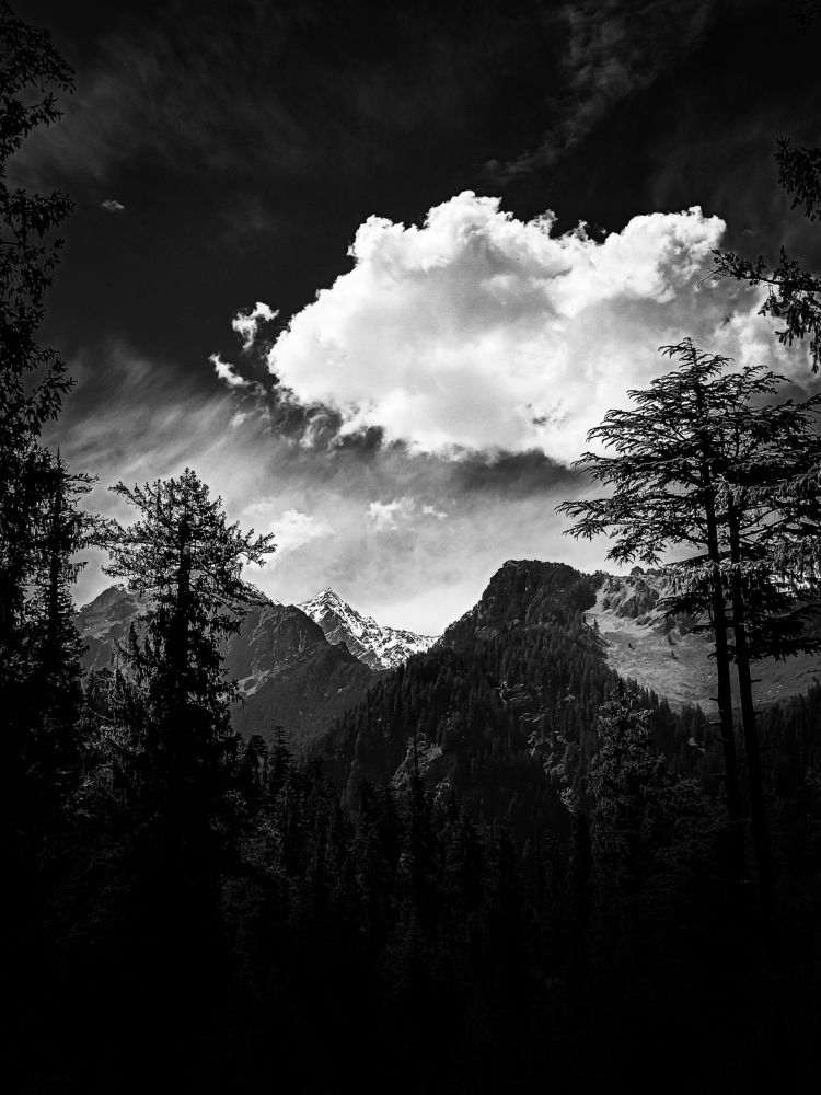 Photograph by Pawan Saini